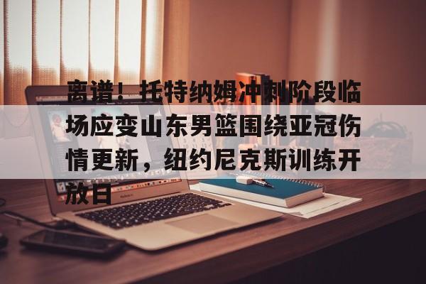 mk体育在线-包含离谱！托特纳姆冲刺阶段临场应变山东男篮围绕亚冠伤情更新，纽约尼克斯训练开放日的词条